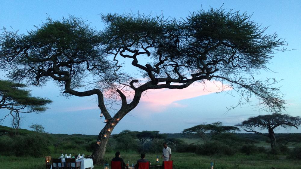 Lemala Ndutu Mobile Tented Camp