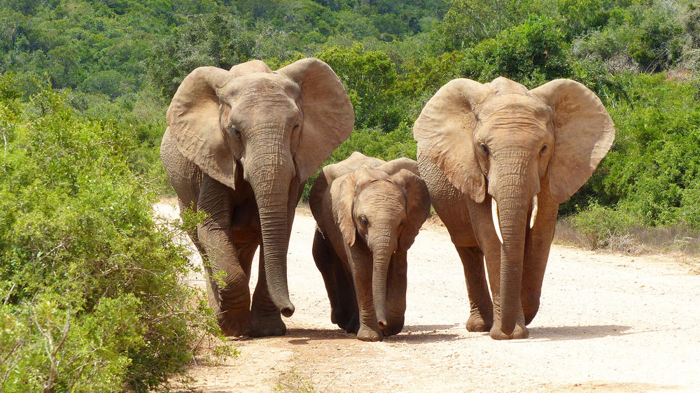 Sundays River Valley