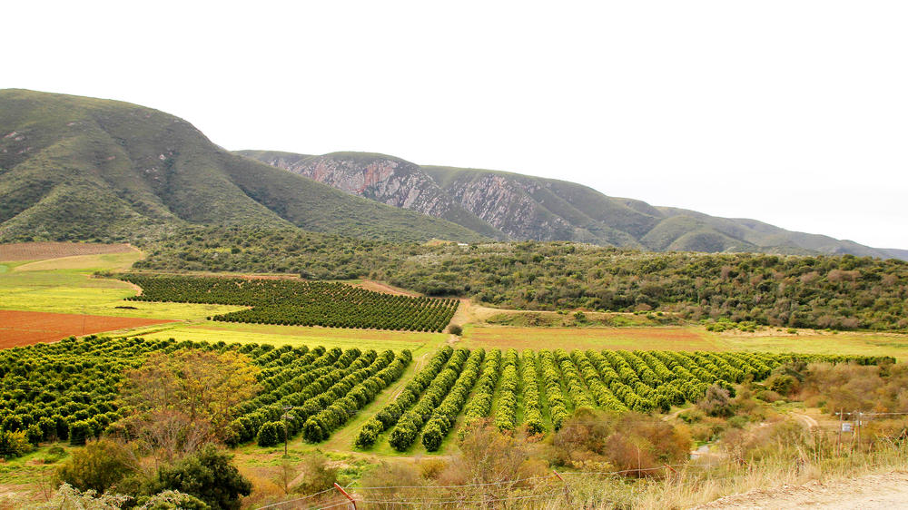 Sundays River Valley