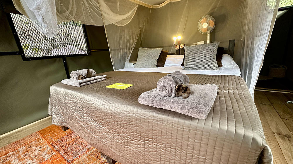 Track & Trail River Camp