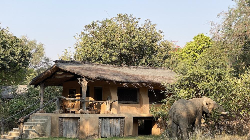 Zambia - 4-day South Luangwa Safari at Track & Trail River Camp- Private accommodated
