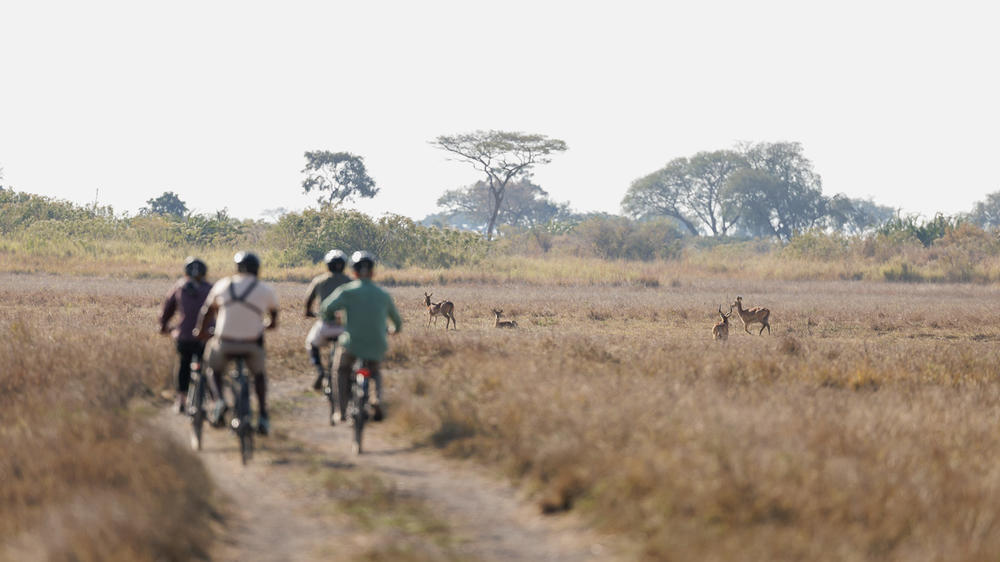 Chisa Busanga Camp