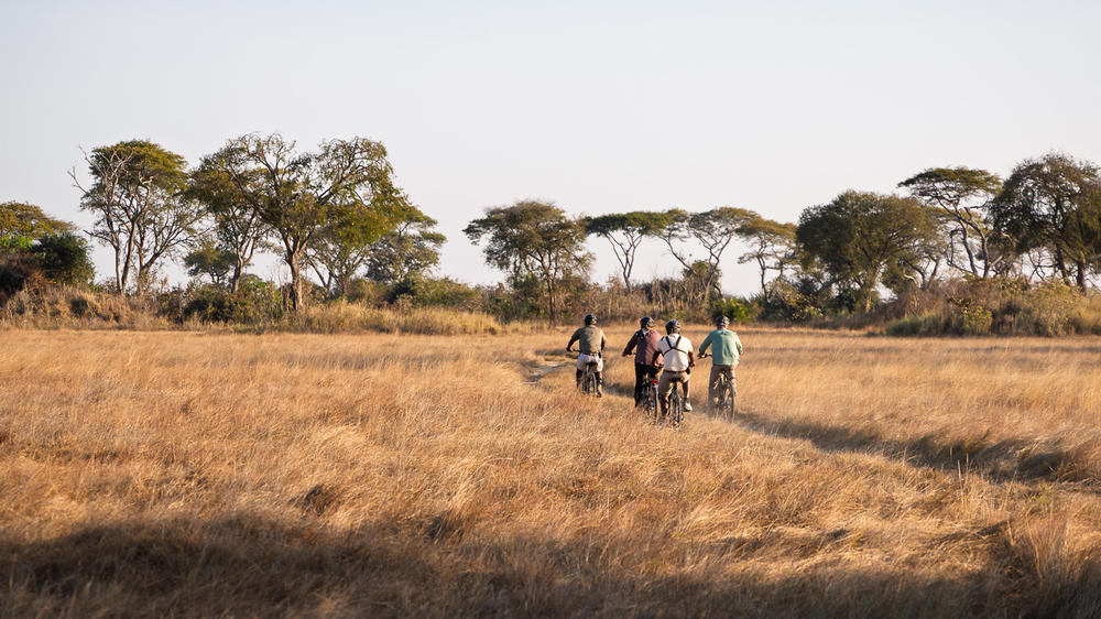 Chisa Busanga Camp