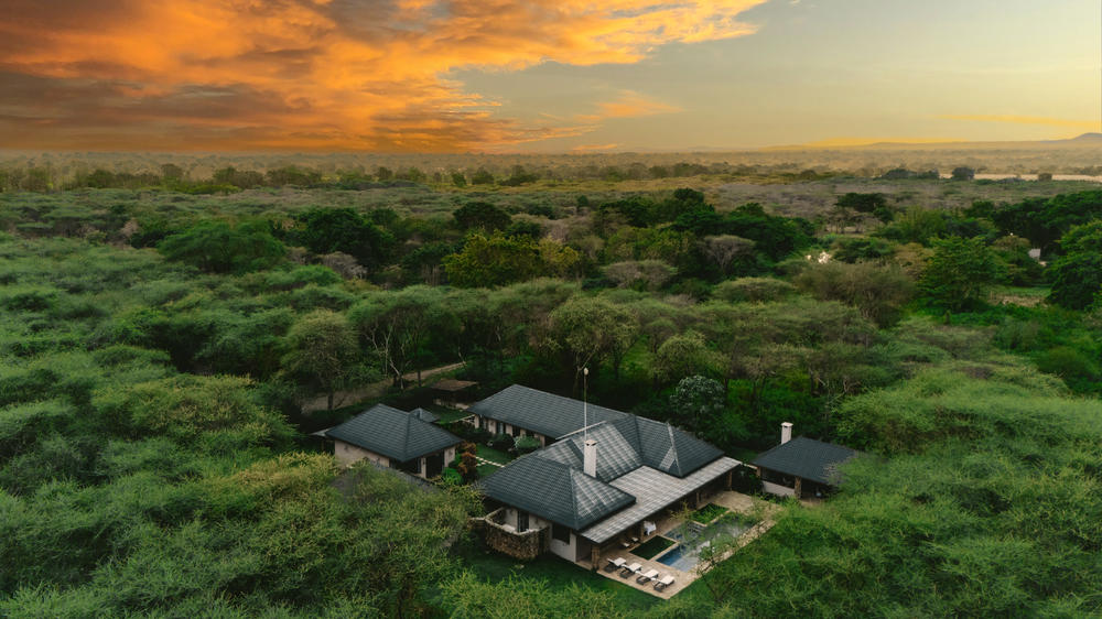 Hamerkop House by Lemala