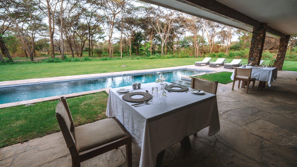 Hamerkop House by Lemala