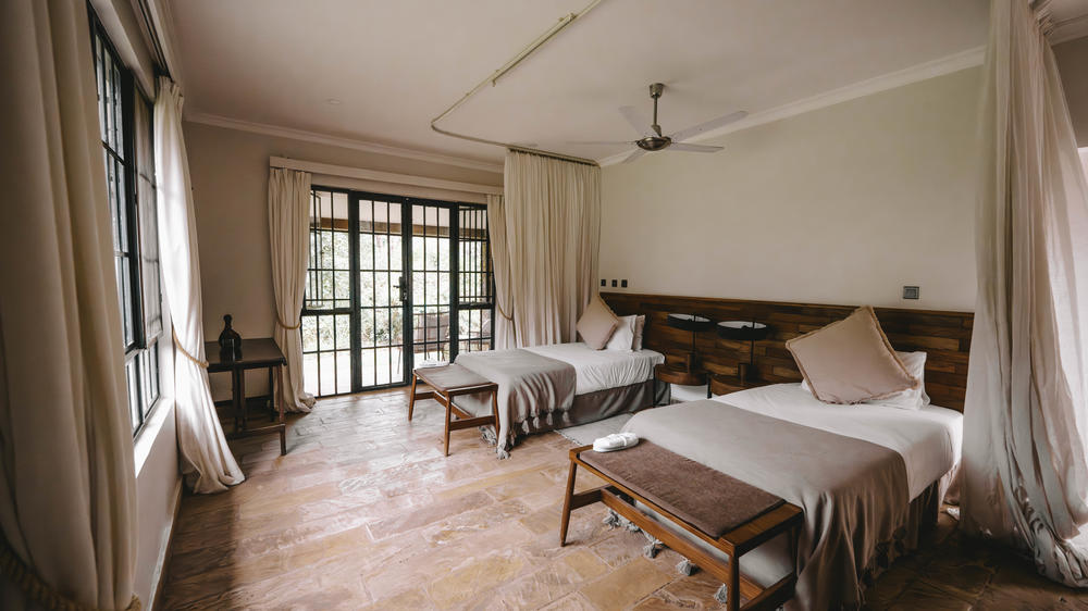 Hamerkop House by Lemala