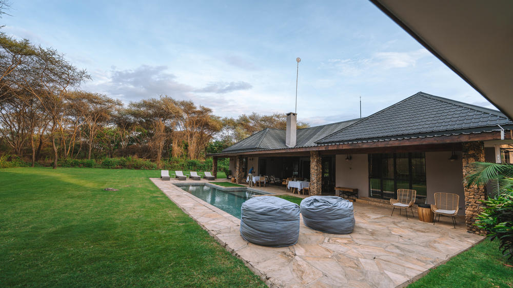 Hamerkop House by Lemala