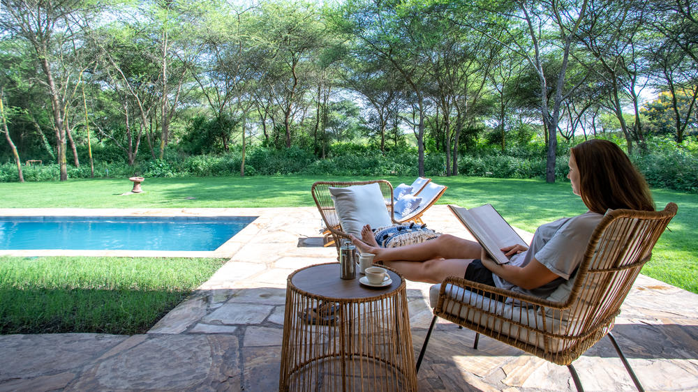 Hamerkop House by Lemala