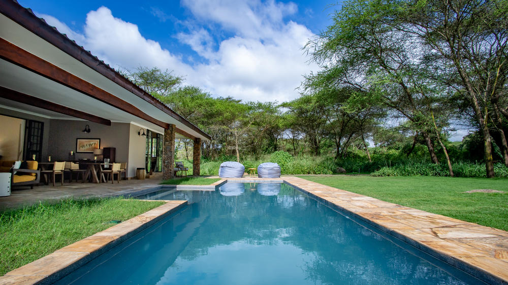 Hamerkop House by Lemala