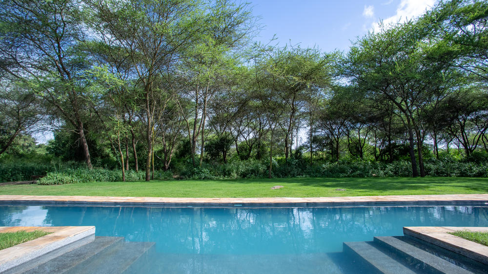 Hamerkop House by Lemala