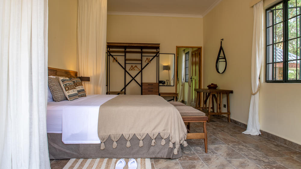 Hamerkop House by Lemala