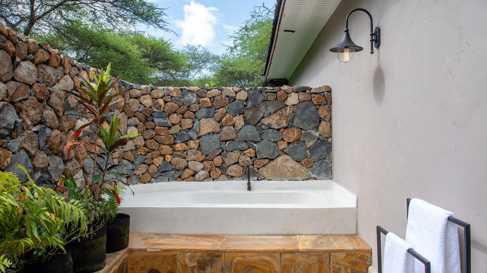 Hamerkop House by Lemala