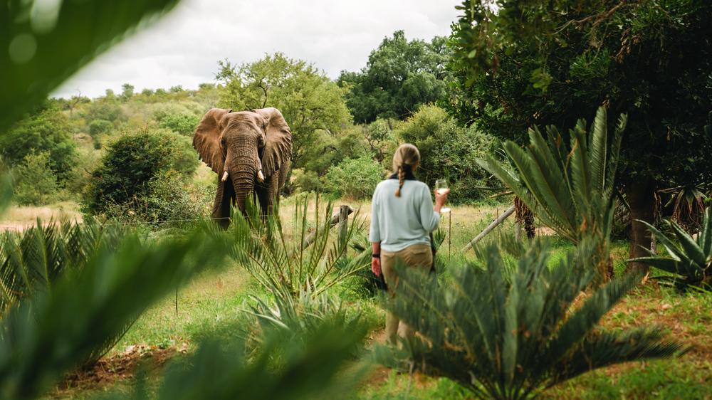 South Africa - 4-day Greater Kruger Safari with Simbavati Camp George - Private accommodated