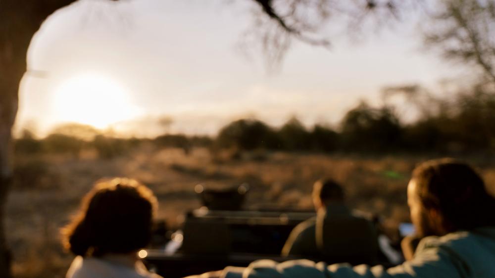 Simbavati Camp George