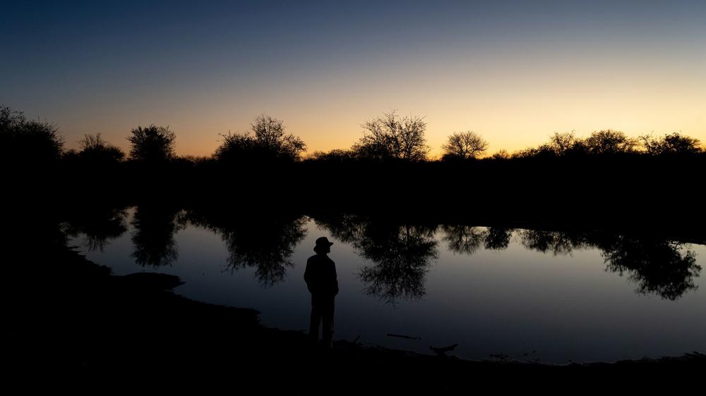 Simbavati Camp George