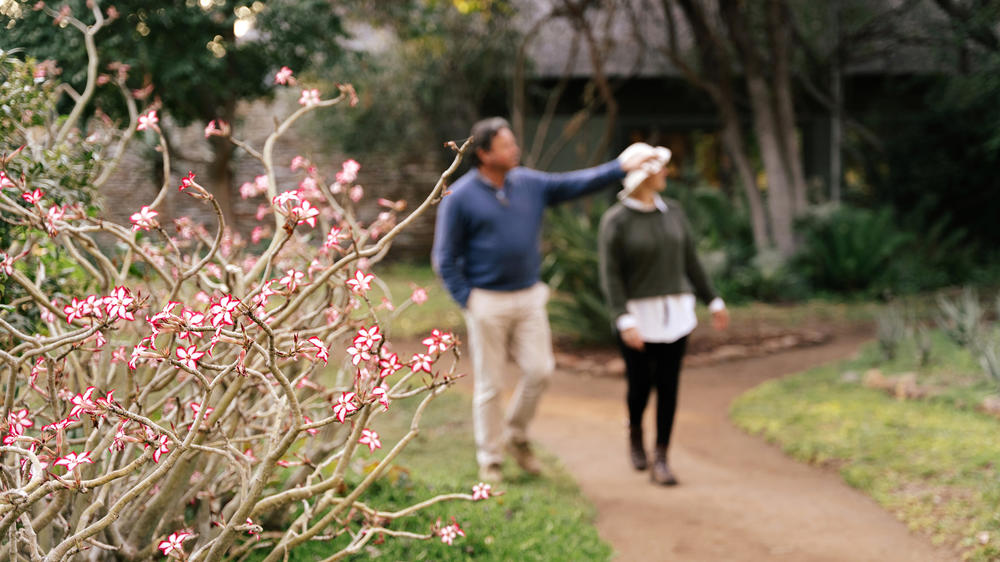 Simbavati Camp George