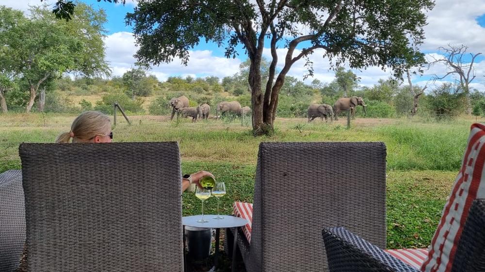 Simbavati Camp George