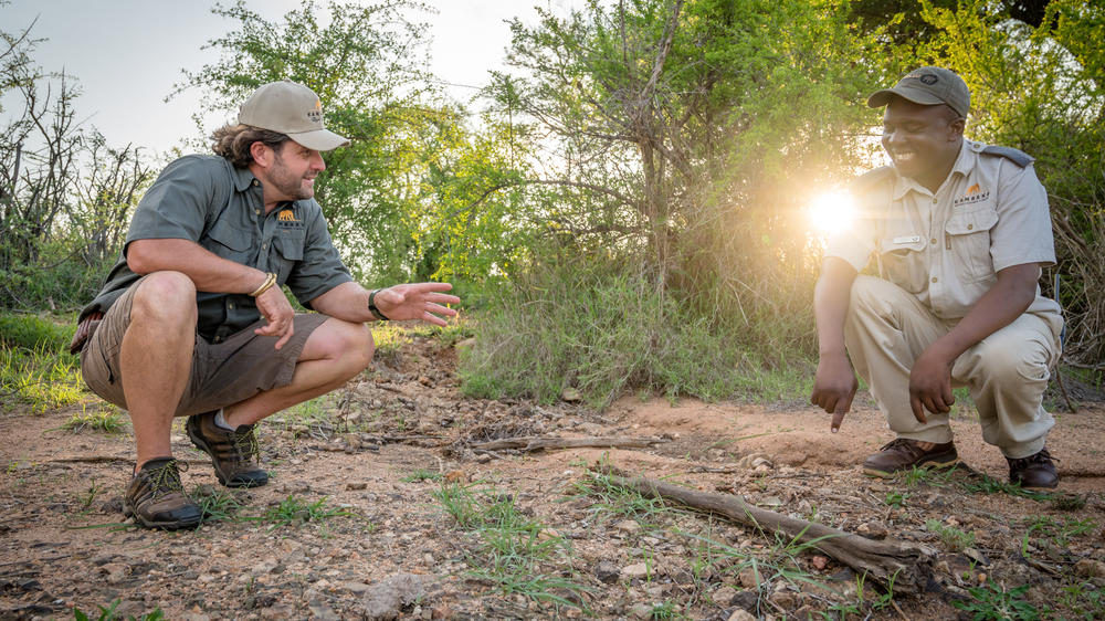Kambaku Safari Lodge