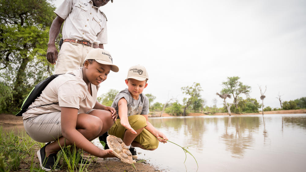 Kambaku Safari Lodge