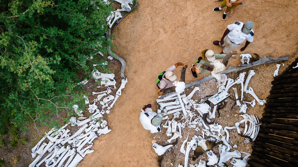 Kambaku Safari Lodge