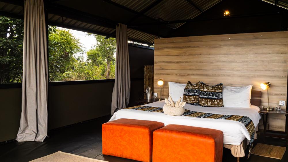 Zimbabwe - 4-day Hwange Safari with Hwange Bush Camp - Tailored Fly-in