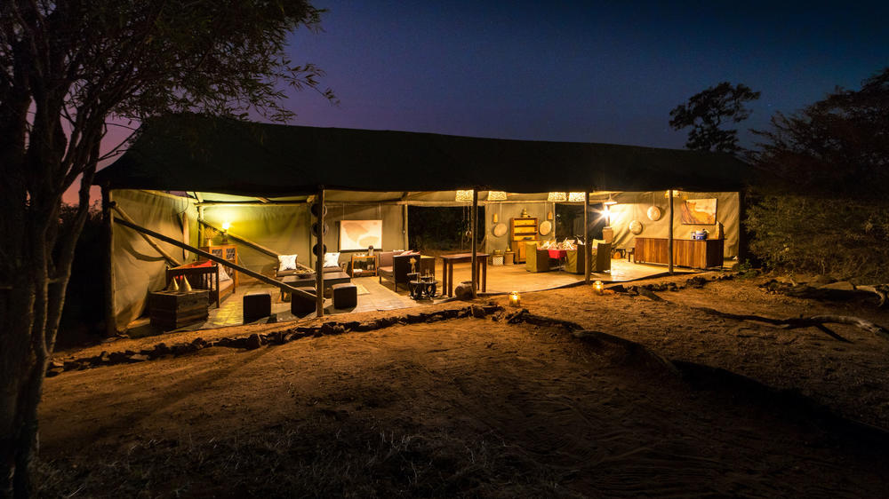 Zimbabwe - 4-day Hwange Safari with Hwange Bush Camp - Tailored Fly-in