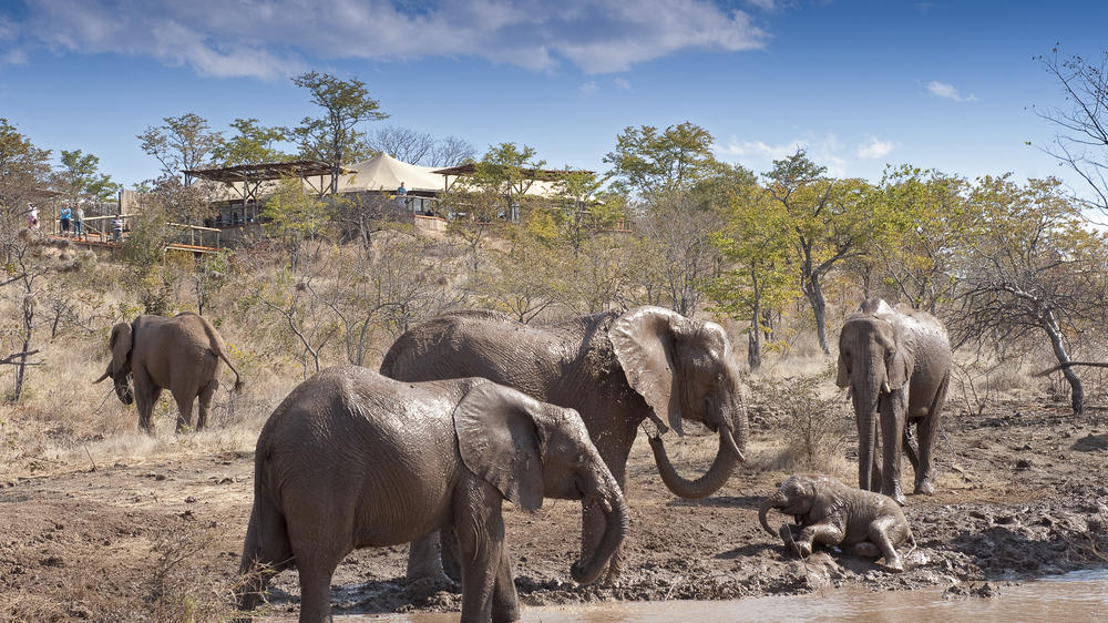 Zimbabwe - 4 Days Victoria Falls with Elephant Camp- Private Accommodated