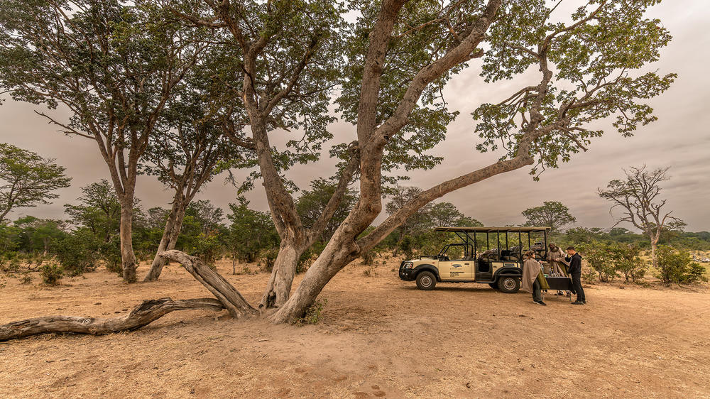 The Elephant Camp