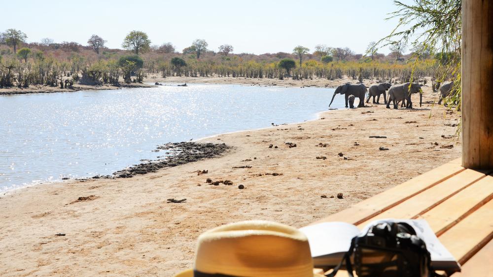 Ghoha Hills Savuti Lodge