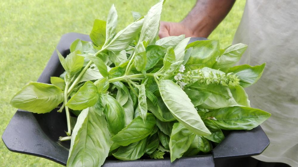 Damara Mopane Lodge Gondwana Collection Namibia