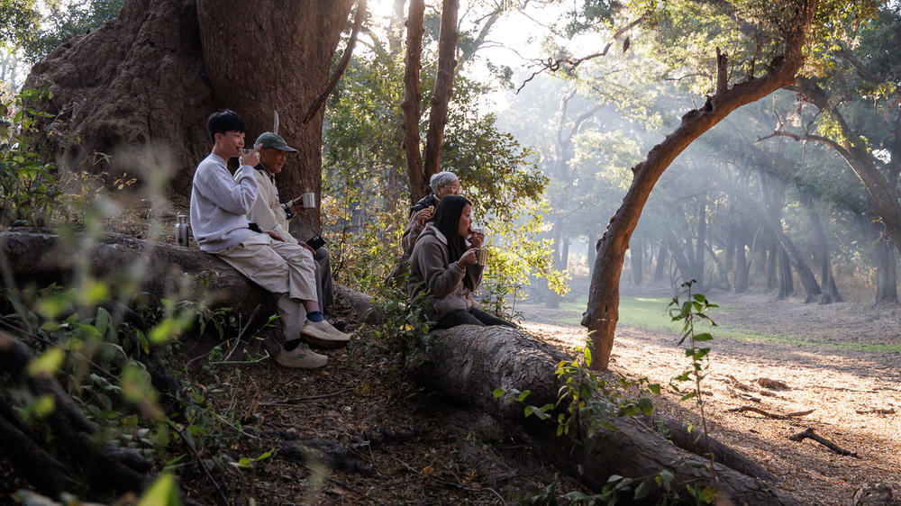 Shawa Luangwa Camp