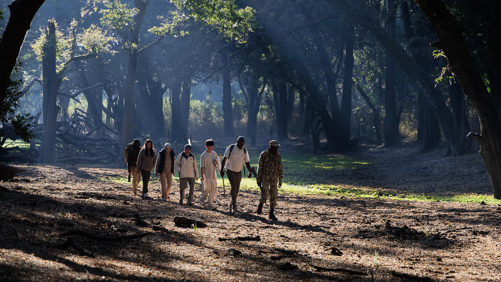 Shawa Luangwa Camp