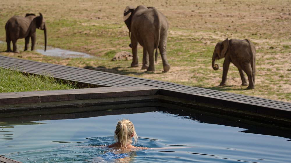 Shawa Luangwa Camp