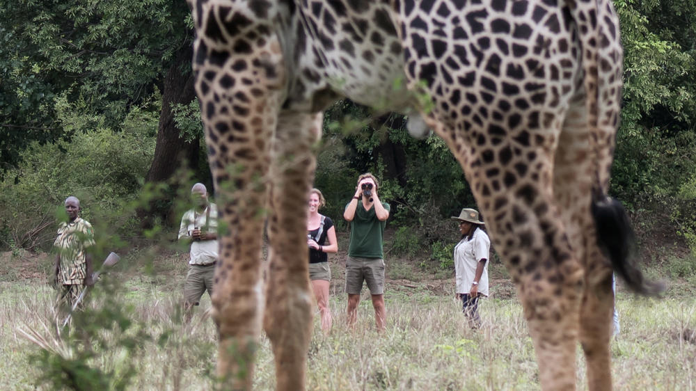 Shawa Luangwa Camp