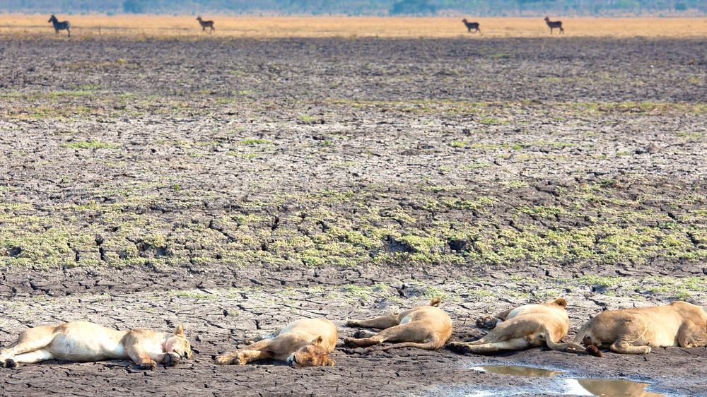Katavi National Park