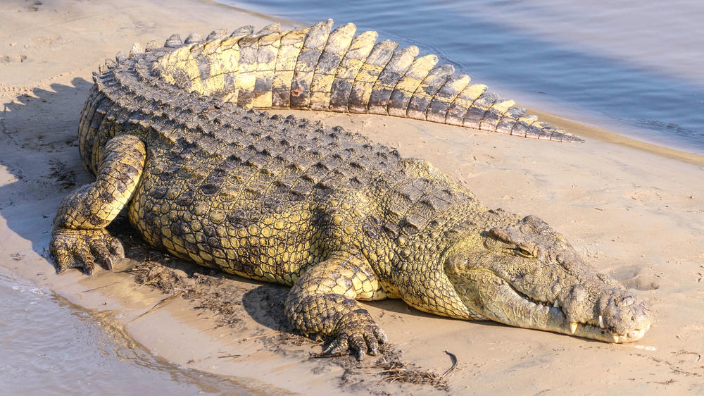 Katavi National Park