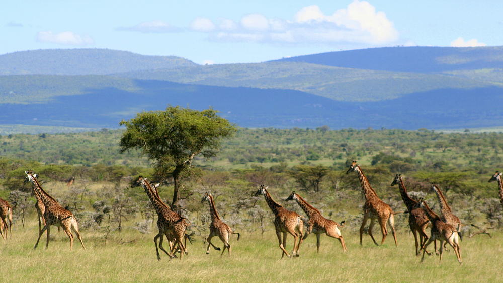 Encounter Mara