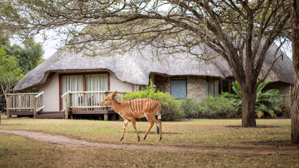Rhino River Lodge