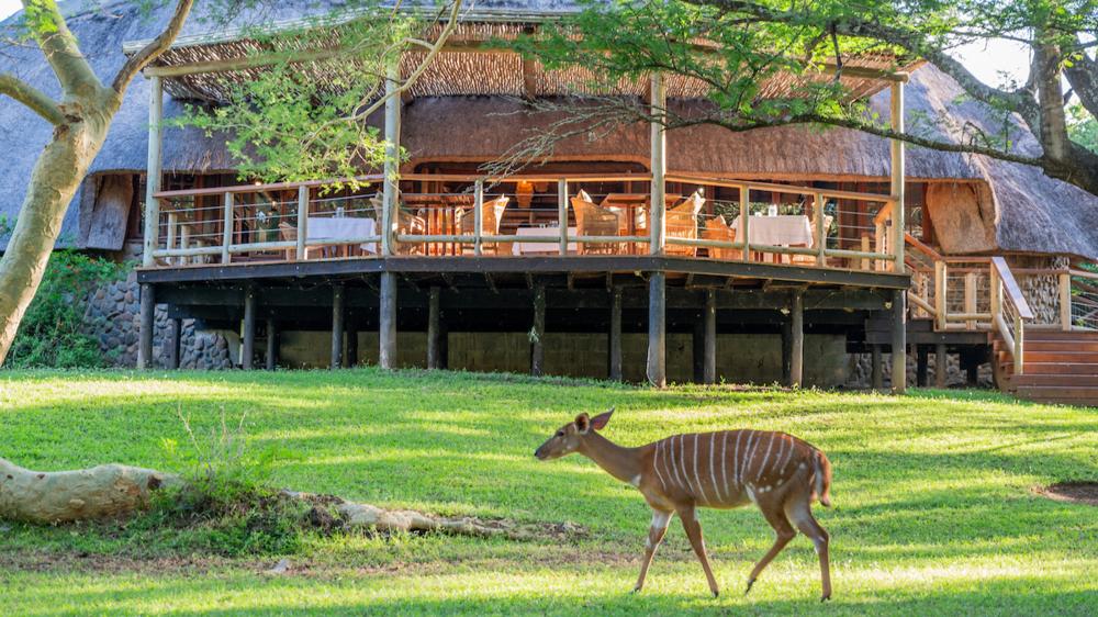 Rhino River Lodge