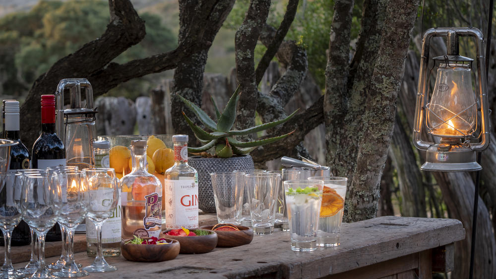 Amakhala HillsNek Safari Camp