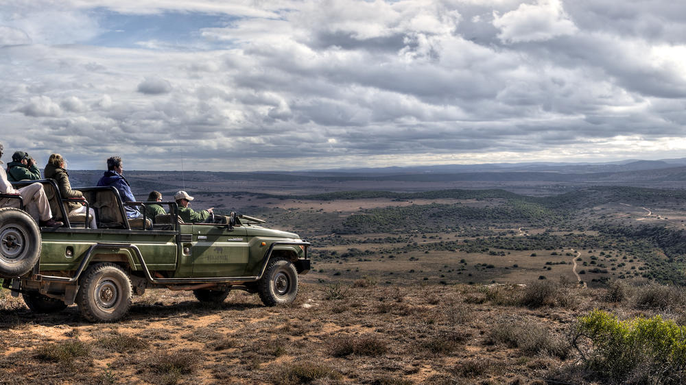 Amakhala HillsNek Safari Camp