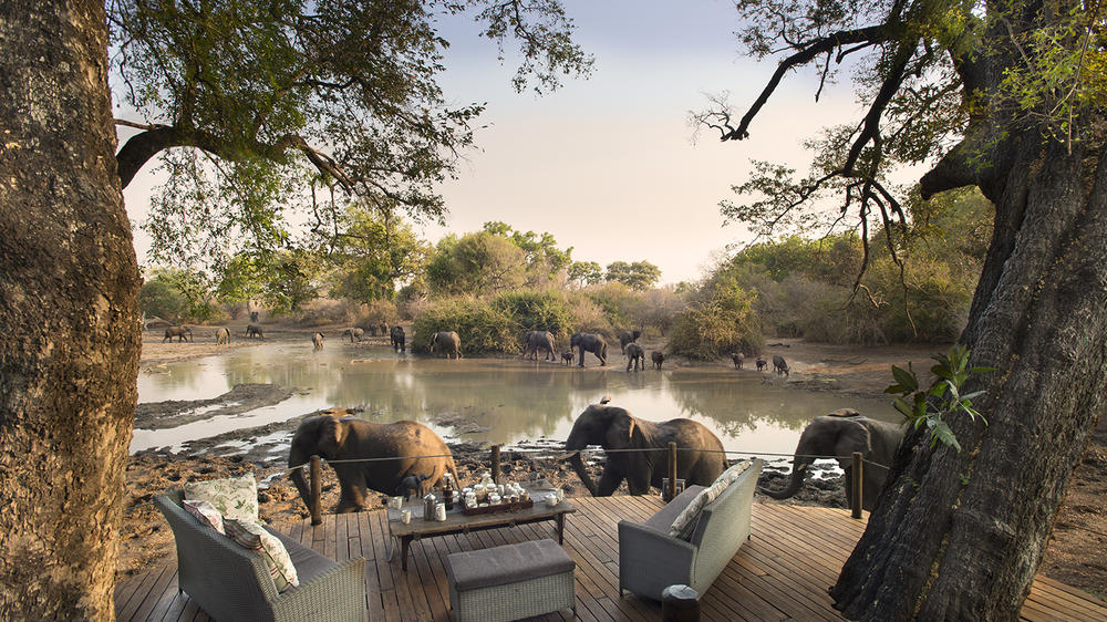 African Bush Camps Kanga Expeditions