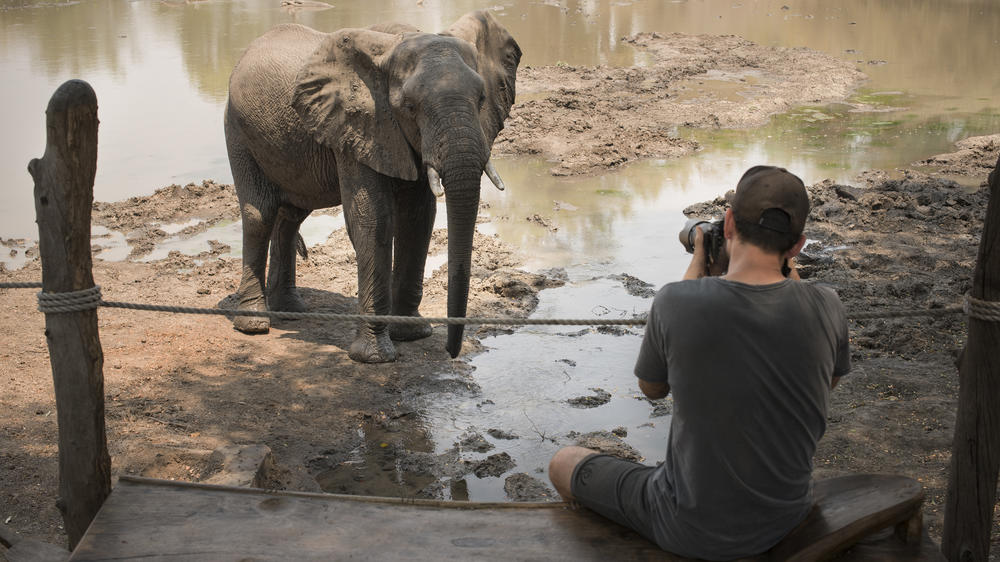 African Bush Camps Kanga Expeditions