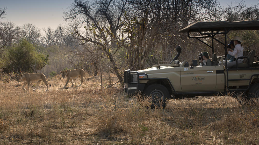 African Bush Camps Kanga Expeditions