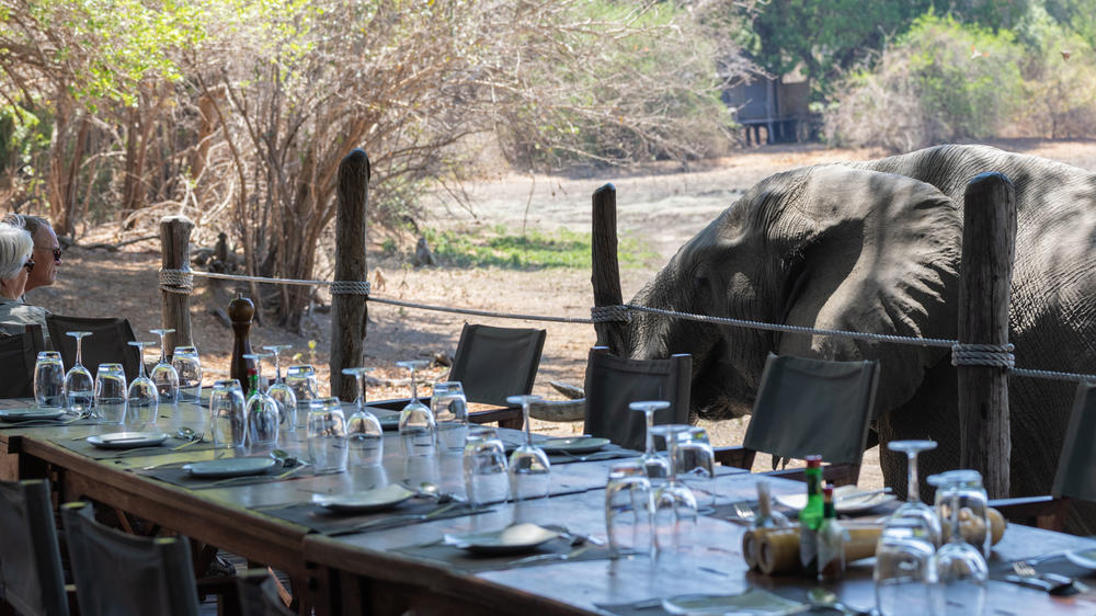 African Bush Camps Kanga Expeditions