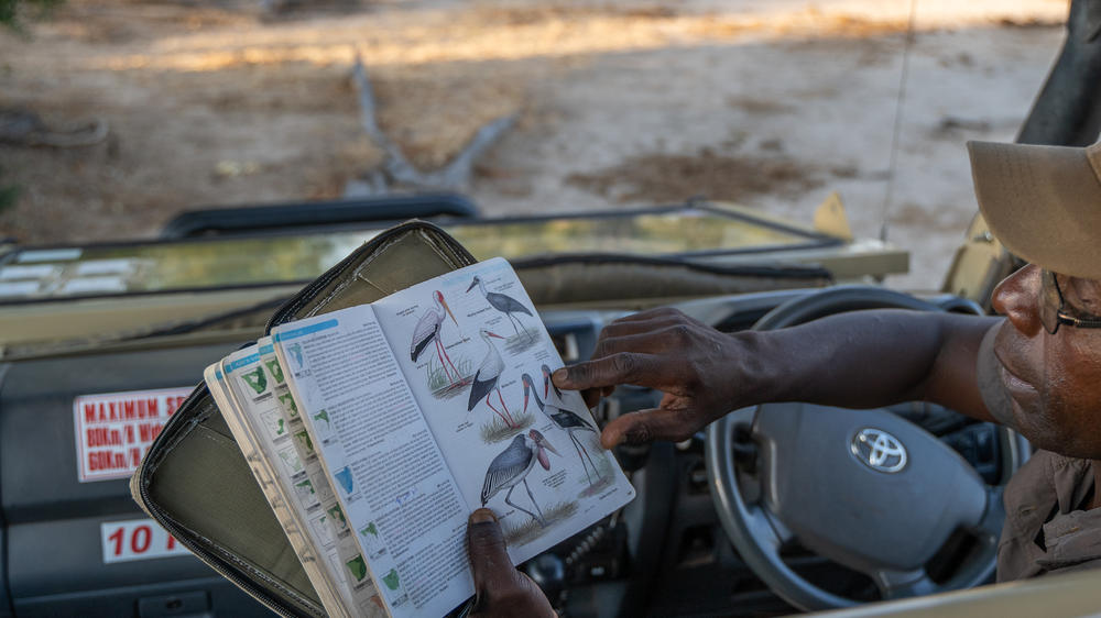 African Bush Camps Kanga Expeditions