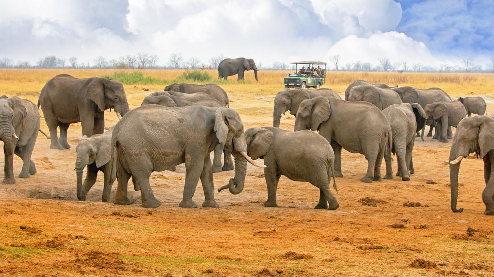Eastern Hwange National Park