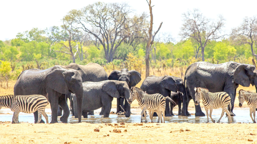 Southern Hwange National Park