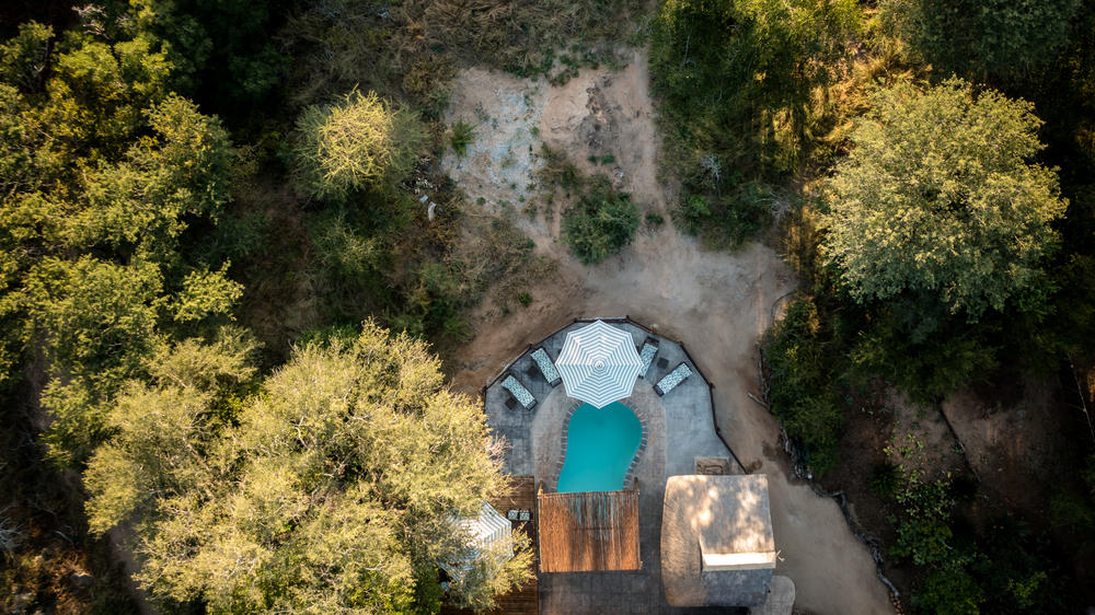 South Africa - 4-day Sabi Sand Safari with Umkumbe Bush Lodge - Private accommodated