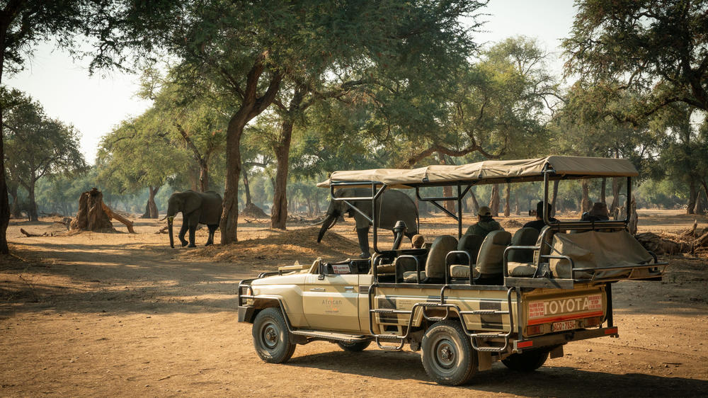 African Bush Camps Zambezi Expeditions